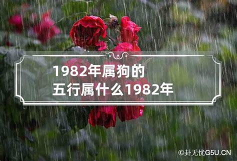 1982属相|1982年属什么 1982年属什么五行